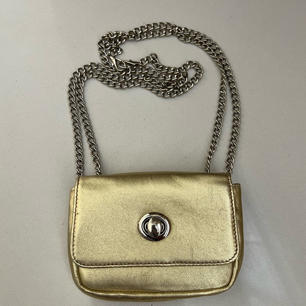 Hobo International Aster Gold Crossbody belt bag